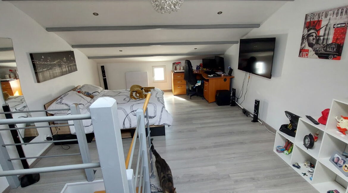 IMG_20250214_220023 (1)