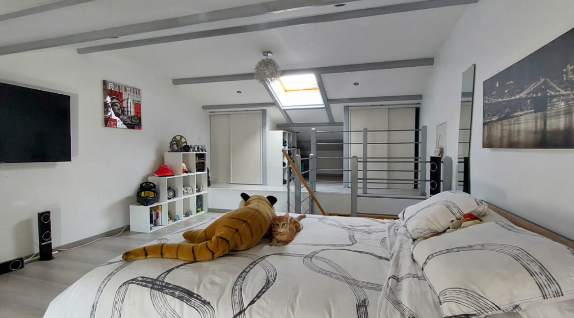 IMG_20250214_220023 (2)