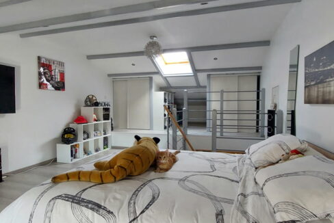 IMG_20250214_220023 (2)